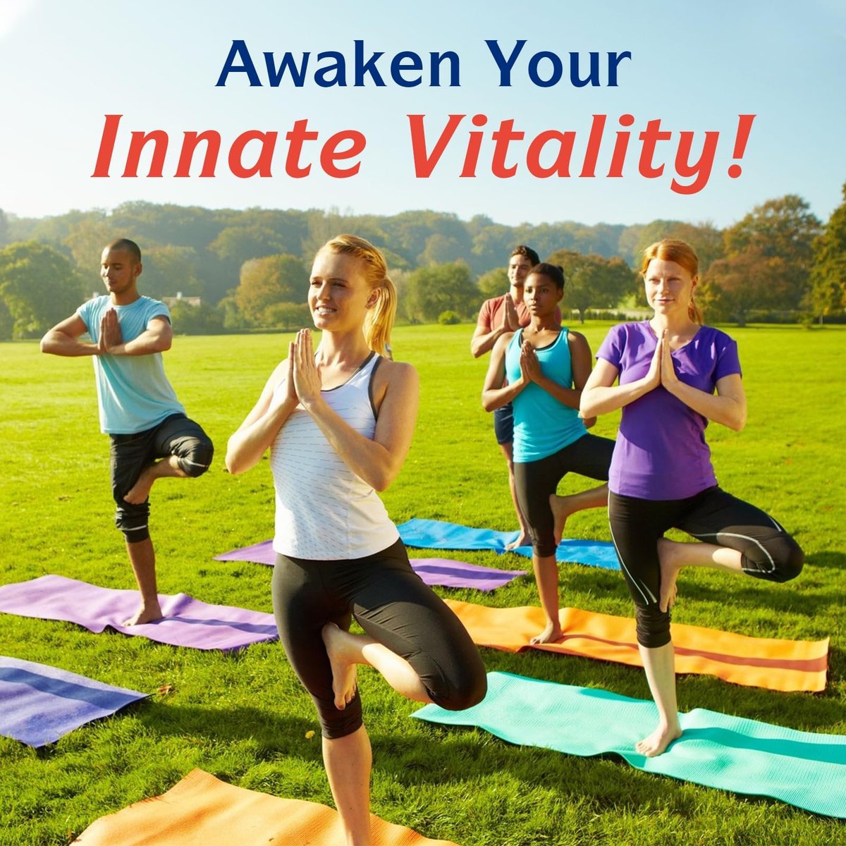 Innate Vitality Calcium 1200 mg mit Vitamin D3, 5000 IE Vitamin D3, absorbierbares Calciumpräparat, Non-GMO, glutenfrei, für Knochen und Immunsystem, 90 Tabletten