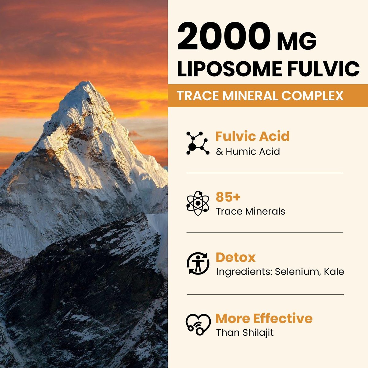 2000 MG Liposomale Fulvinsäure + Huminsäure + Spurenemineralkomplex – Stärker als Shilajit, Elektrolyt-Flüssigergänzung mit Bio-Grünkohl für Verdauung, Immunität & pH-Gleichgewicht, 60 ml