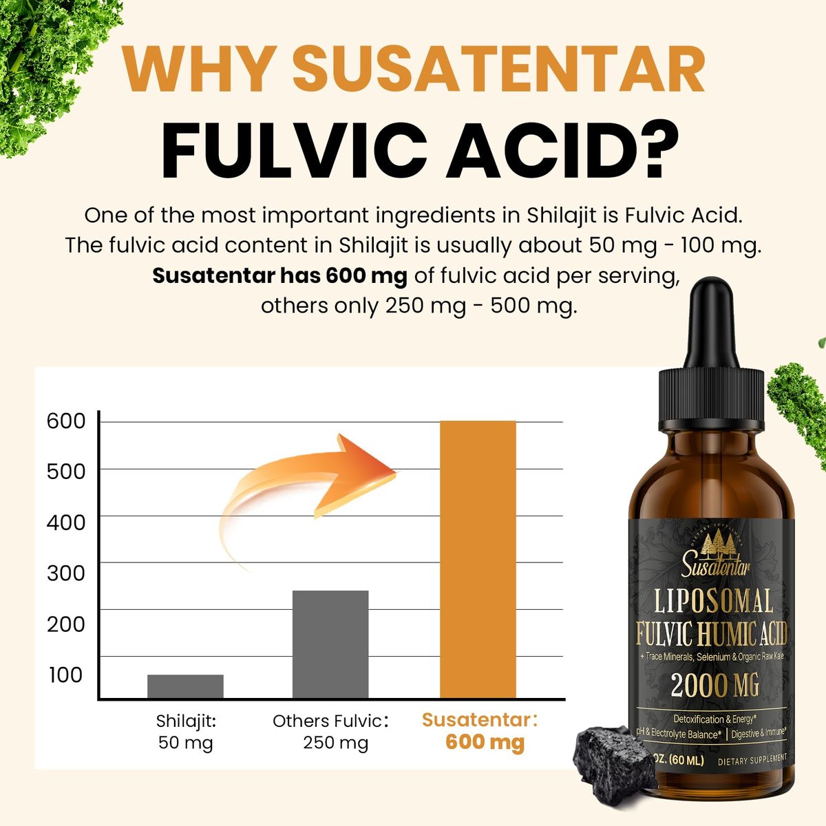 2000 MG Liposomale Fulvinsäure + Huminsäure + Spurenemineralkomplex – Stärker als Shilajit, Elektrolyt-Flüssigergänzung mit Bio-Grünkohl für Verdauung, Immunität & pH-Gleichgewicht, 60 ml