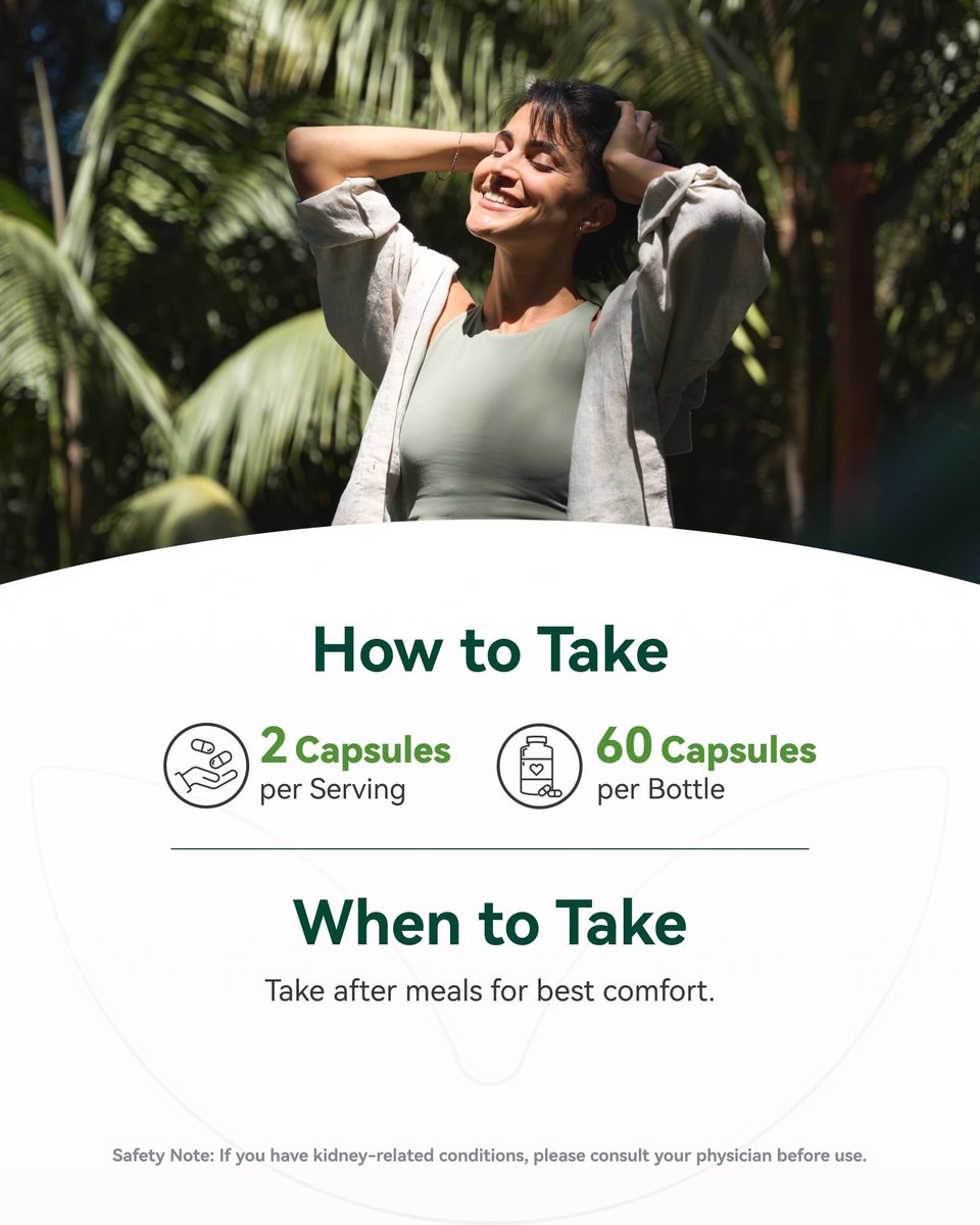 Inner Brightness Moringa Kapseln 1000 mg pro Portion – 10:1 Moringa Blattextrakt Grünes Superfood für Energie & Immunsystem – Vegan, Nicht-GVO, 60 Kapseln, Hergestellt in den USA