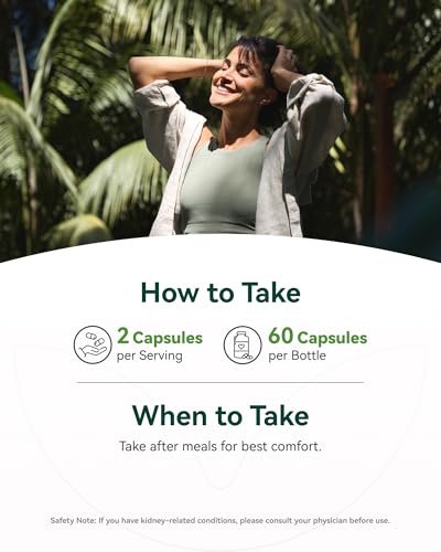 Inner Brightness Moringa Kapseln 1000 mg pro Portion – 10:1 Moringa Blattextrakt Grünes Superfood für Energie & Immunsystem – Vegan, Nicht-GVO, 60 Kapseln, Hergestellt in den USA