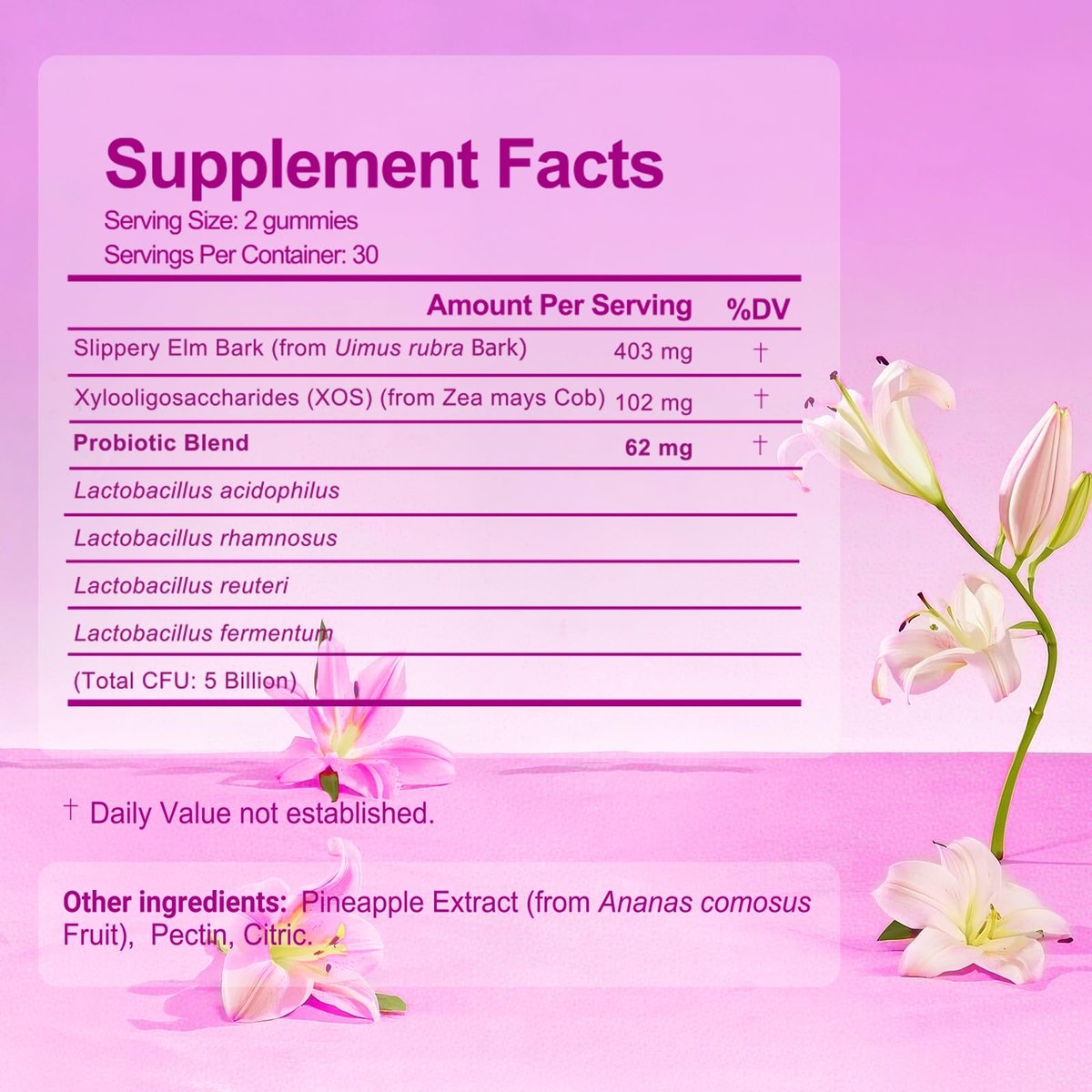 Brurtzexs Her Juicy Feminine Probiotika Gummis für Frauen mit Ulme – Ananasgeschmack, pH-Balance & Immununterstützung – Vegane Nahrungsergänzung, 60 Stück