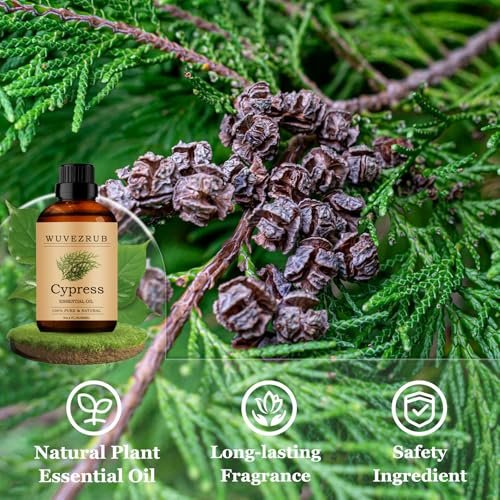 Wuvezrub Zypressenöl 60ml – Reines ätherisches Zypressenöl für Aromatherapie-Diffuser (2 Fl Oz)