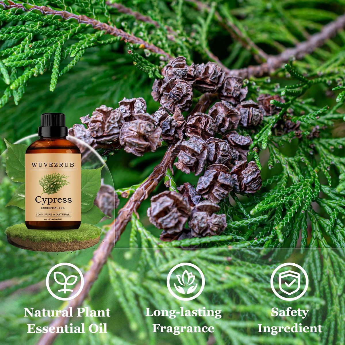Wuvezrub Zypressenöl 60ml – Reines ätherisches Zypressenöl für Aromatherapie-Diffuser (2 Fl Oz)