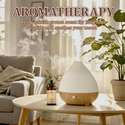 Wuvezrub Citronella Ätherisches Öl 30 ml - 100 % rein und natürlich für Aromatherapie-Diffuser - 1 Fl Oz