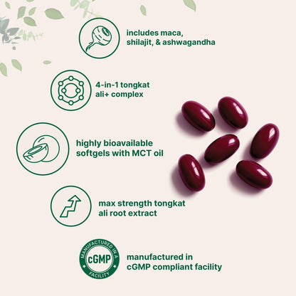 Tongkat Ali+ für Männer mit Maca, Shilajit & Ashwagandha | 240 Weichkapseln mit MCT-Öl für bessere Aufnahme | Höchste Stärke Eurycoma Longifolia Extrakt (Longjack) | Nicht-GVO, Glutenfrei