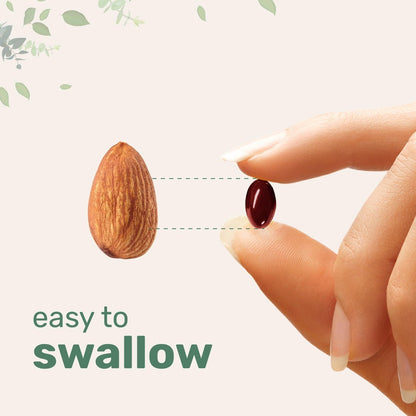 Tongkat Ali+ für Männer mit Maca, Shilajit & Ashwagandha | 240 Weichkapseln mit MCT-Öl für bessere Aufnahme | Höchste Stärke Eurycoma Longifolia Extrakt (Longjack) | Nicht-GVO, Glutenfrei