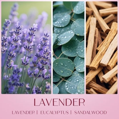 Waxcanpy Duftkerzen für Frauen – 2er-Pack Sojakerzen mit Lavendel & Vanille für Entspannung und Wohlbefinden