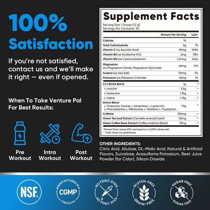 Zuckerfreies 7g BCAA + EAA Pulver | Unterstützt Muskelregeneration, Wachstum, Kraft & Ausdauer – 12 essentielle Aminosäuren mit L-Glutamin, Koffein, Vitaminen & Elektrolyten für Energie & Hydratation