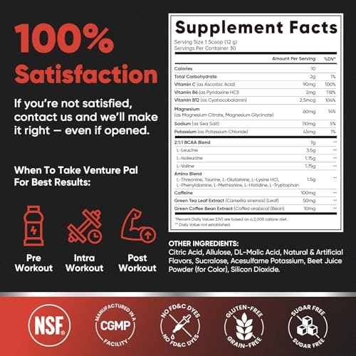 Zuckerfreies 7g BCAA + EAA Pulver | Unterstützt Muskelregeneration, Wachstum, Kraft & Ausdauer – 10 essentielle Aminosäuren mit L-Glutamin, Koffein, Vitaminen & Elektrolyten für Energie & Hydration
