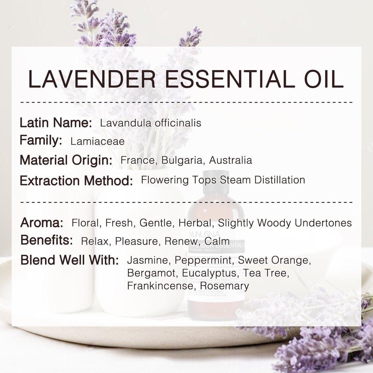 MUNUSNA Lavendel Ätherisches Öl, 100 ml – Reines & Natürliches Lavendelöl für Haare, Körper, Haut, Aromatherapie-Diffuser, Meditation, Massage, Kerzen, Seifen & Badebomben
