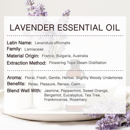 MUNUSNA Lavendel Ätherisches Öl, 100 ml – Reines & Natürliches Lavendelöl für Haare, Körper, Haut, Aromatherapie-Diffuser, Meditation, Massage, Kerzen, Seifen & Badebomben