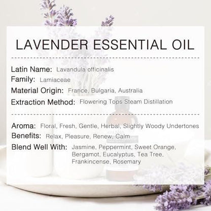 MUNUSNA Lavendel Ätherisches Öl, 100 ml – Reines & Natürliches Lavendelöl für Haare, Körper, Haut, Aromatherapie-Diffuser, Meditation, Massage, Kerzen, Seifen & Badebomben