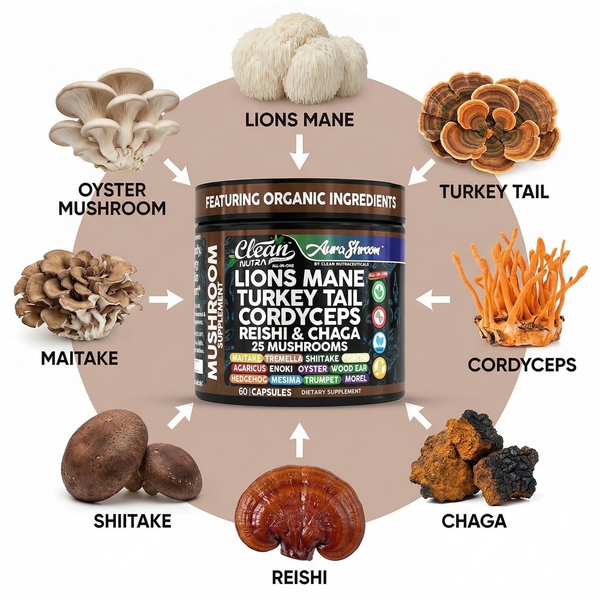 AuraShroom Pilz-Ergänzung: Löwenmähne, Turkey Tail, Cordyceps, Reishi, Shiitake, Chaga, Austernpilze – Stressabbau, Immununterstützung, Nootropikum, Energie – 60 Kapseln von Clean Nutra