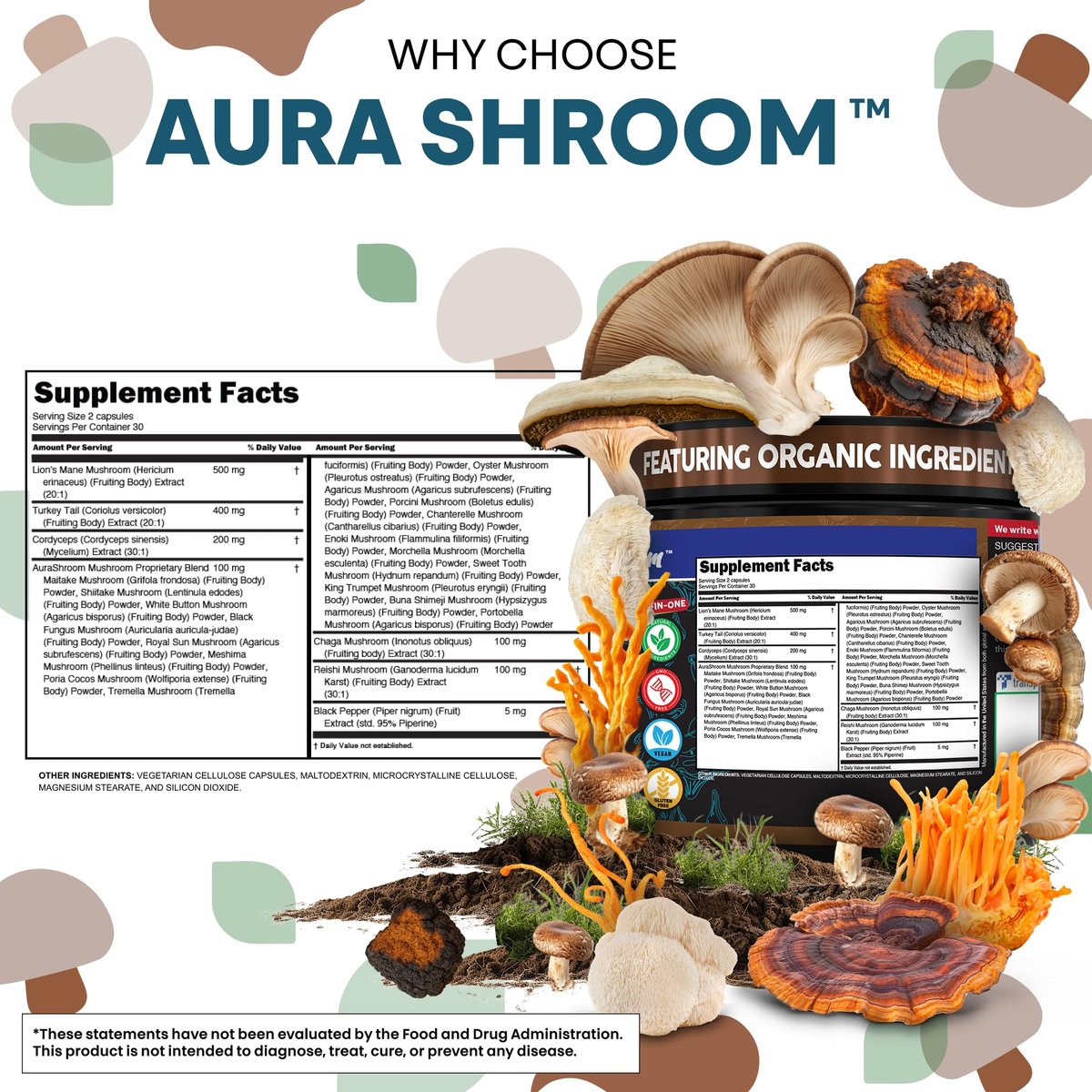 AuraShroom Pilz-Ergänzung: Löwenmähne, Turkey Tail, Cordyceps, Reishi, Shiitake, Chaga, Austernpilze – Stressabbau, Immununterstützung, Nootropikum, Energie – 60 Kapseln von Clean Nutra