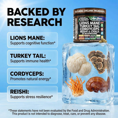 AuraShroom Pilz-Ergänzung: Löwenmähne, Turkey Tail, Cordyceps, Reishi, Shiitake, Chaga, Austernpilze – Stressabbau, Immununterstützung, Nootropikum, Energie – 60 Kapseln von Clean Nutra