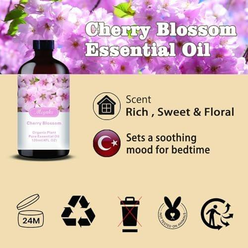 Kirschblüten Duftöl – MLYNKL Kirschblütenöl für Diffuser, Luftbefeuchter, DIY Kerzen, Seife, Blütenduft, Zuhause, Geschenk (130 ml)