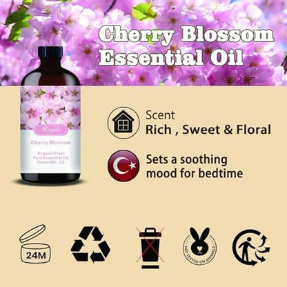 Kirschblüten Duftöl – MLYNKL Kirschblütenöl für Diffuser, Luftbefeuchter, DIY Kerzen, Seife, Blütenduft, Zuhause, Geschenk (130 ml)