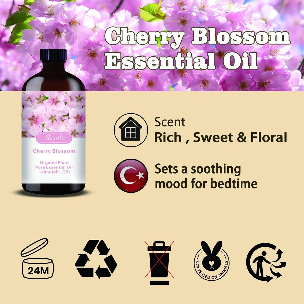 Kirschblüten Duftöl – MLYNKL Kirschblütenöl für Diffuser, Luftbefeuchter, DIY Kerzen, Seife, Blütenduft, Zuhause, Geschenk (130 ml)