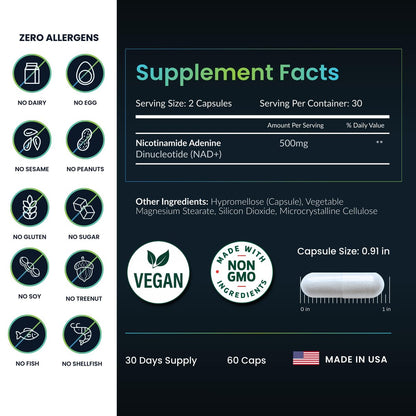 NAD+ Supplement - 500mg reines NAD Plus für Energie, Fokus, Haut & Anti-Aging - Glutenfrei, Nicht-GMO, NAD+ für Frauen & Männer (60 Kapseln)