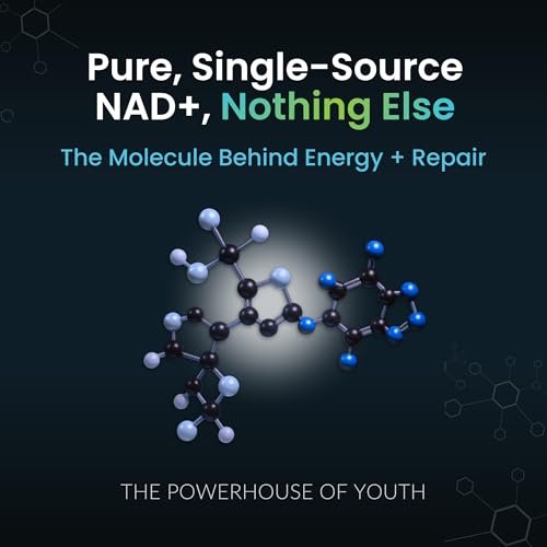 NAD+ Supplement - 500mg reines NAD Plus für Energie, Fokus, Haut & Anti-Aging - Glutenfrei, Nicht-GMO, NAD+ für Frauen & Männer (60 Kapseln)