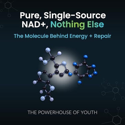 NAD+ Supplement - 500mg reines NAD Plus für Energie, Fokus, Haut & Anti-Aging - Glutenfrei, Nicht-GMO, NAD+ für Frauen & Männer (60 Kapseln)
