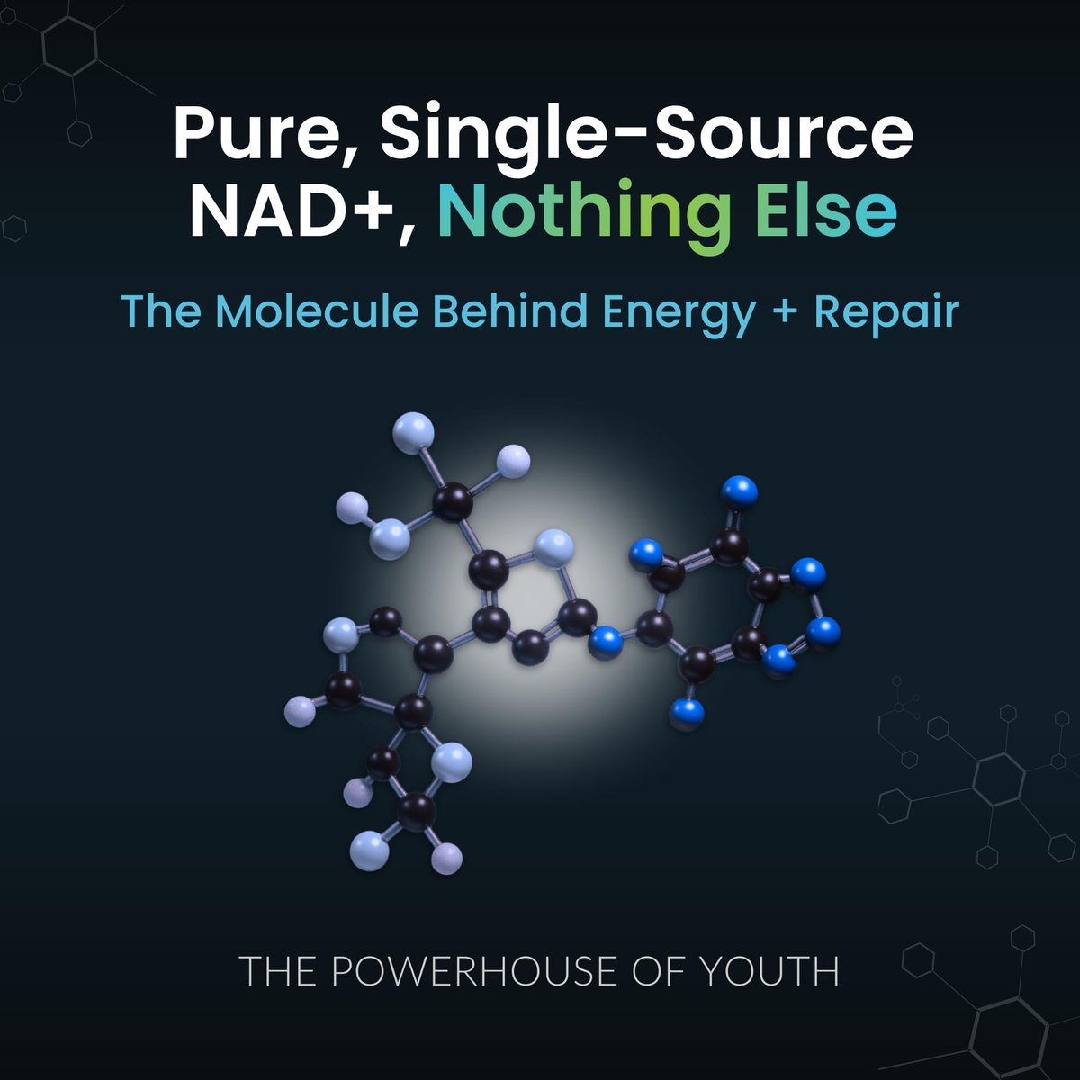 NAD+ Supplement - 500mg reines NAD Plus für Energie, Fokus, Haut & Anti-Aging - Glutenfrei, Nicht-GMO, NAD+ für Frauen & Männer (60 Kapseln)