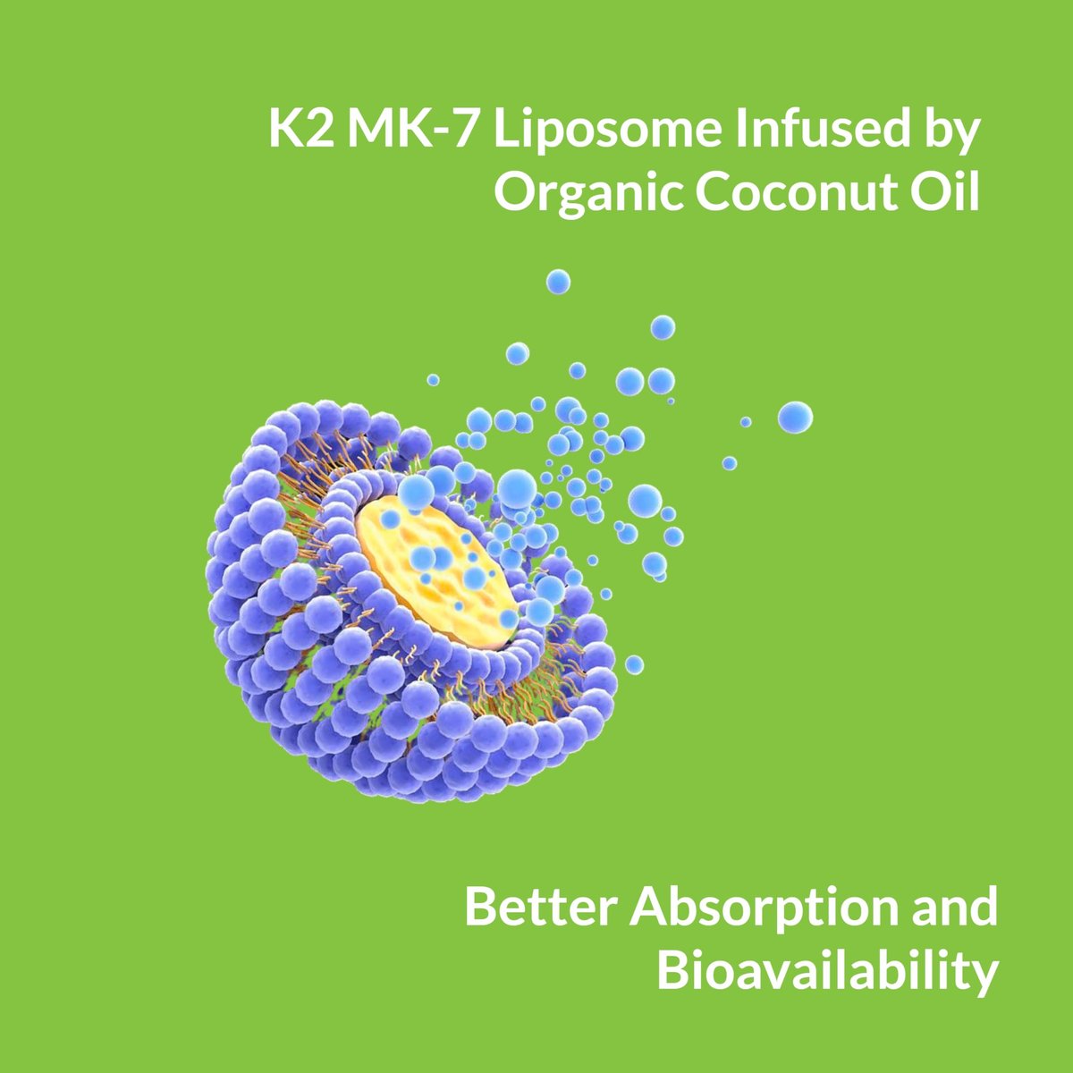 UpNourish Liposomales Vitamin K2 MK7 180 mcg – 180 K2 Vitamin Kapseln für Frauen und Männer – VIT K2 MK-7 mit hoher Absorption