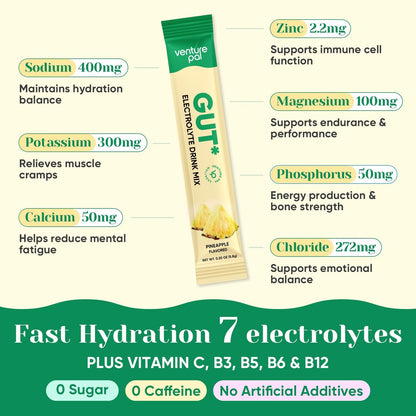 Venture Pal 2-in-1 Hydration Packets + Gut Health Electrolytes Powder - 7 Elektrolyte & 5 Vitamine, Probiotika - Zuckerfreies flüssiges tägliches IV-Getränk zur Linderung von Dehydrierung | Non-GMO | 16 Sticks