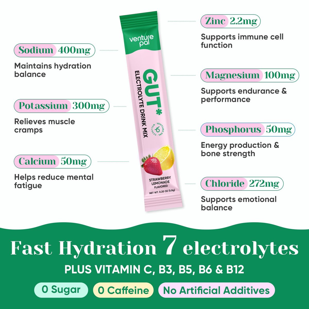 Venture Pal 2-in-1 Hydration Packets + Darmgesundheit Elektrolyte Pulver - 7 Elektrolyte & 5 Vitamine, Probiotika - Zuckerfreier Liquid Daily IV Drink Mix gegen Dehydrierung | Non-GMO | 16 Sticks