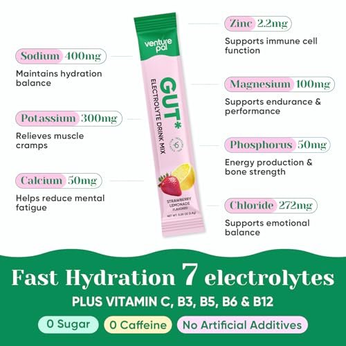 Venture Pal 2-in-1 Hydration Packets + Darmgesundheit Elektrolyte Pulver - 7 Elektrolyte & 5 Vitamine, Probiotika - Zuckerfreier Liquid Daily IV Drink Mix gegen Dehydrierung | Non-GMO | 16 Sticks