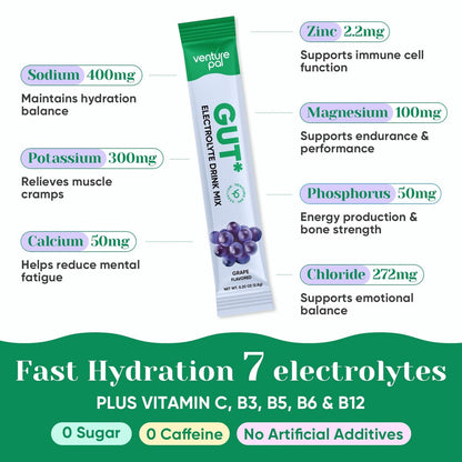 Venture Pal 2-in-1 Hydration Packets + Gut Health Electrolytes Powder - 7 Elektrolyte & 5 Vitamine, Probiotika - Zuckerfreies Flüssigkeits-Getränk für Dehydrierung | Non-GMO | 16 Sticks
