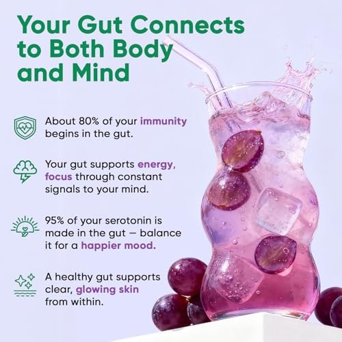 Venture Pal 2-in-1 Hydration Packets + Gut Health Electrolytes Powder - 7 Elektrolyte & 5 Vitamine, Probiotika - Zuckerfreies Flüssigkeits-Getränk für Dehydrierung | Non-GMO | 16 Sticks