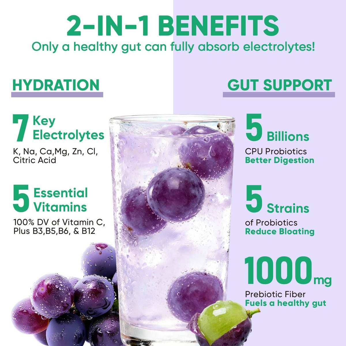 Venture Pal 2-in-1 Hydration Packets + Gut Health Electrolytes Powder - 7 Elektrolyte & 5 Vitamine, Probiotika - Zuckerfreies Flüssigkeits-Getränk für Dehydrierung | Non-GMO | 16 Sticks