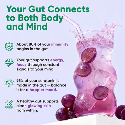 Venture Pal 2-in-1 Hydration Packets + Gut Health Electrolytes Powder - 7 Elektrolyte & 5 Vitamine, Probiotika - Zuckerfreies Flüssigkeits-Getränk für Dehydrierung | Non-GMO | 16 Sticks