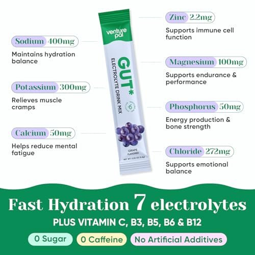 Venture Pal 2-in-1 Hydration Packets + Gut Health Electrolytes Powder - 7 Elektrolyte & 5 Vitamine, Probiotika - Zuckerfreies Flüssigkeits-Getränk für Dehydrierung | Non-GMO | 16 Sticks