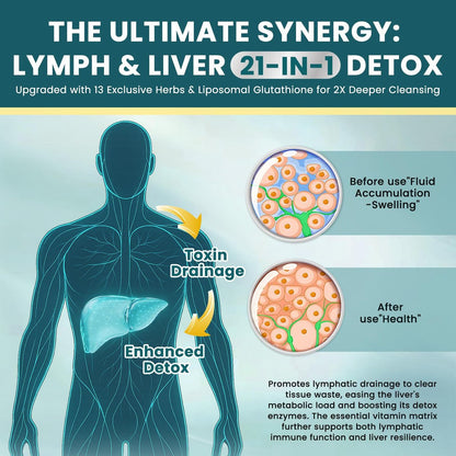 Liposomale Lymphdrainage-Tropfen – 21-in-1 Leberreinigung & Entgiftung mit Mariendistel, Echinacea, Klettenwurzel, liposomalem Glutathion, Vitamin-Komplex für Darm- & Stoffwechselgesundheit