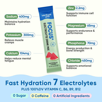Venture Pal 2-in-1 Hydration & Fokus Elektrolytpulver – 7 Elektrolyte + Vitamine, Magnesium, Löwenmähne & L-Theanin | Zuckerfreier Flüssig-IV Drink Mix, Vegan, Keto, 16 Sticks