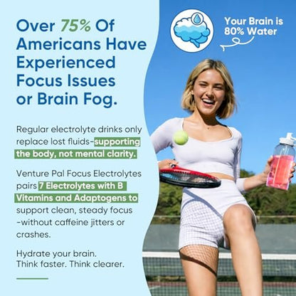 Venture Pal 2-in-1 Hydration & Fokus Elektrolytpulver – 7 Elektrolyte + Vitamine, Magnesium, Löwenmähne & L-Theanin | Zuckerfreier Flüssig-IV Drink Mix, Vegan, Keto, 16 Sticks