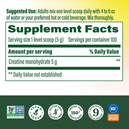 MegaFood Micronisiertes Kreatin-Monohydrat-Pulver – geschmacksneutrales Pre- & Post-Workout-Pulver für Männer & Frauen – kognitive & sportliche Leistungsunterstützung – NSF-zertifiziert für den Sport – 500 Gramm, 100 Portionen