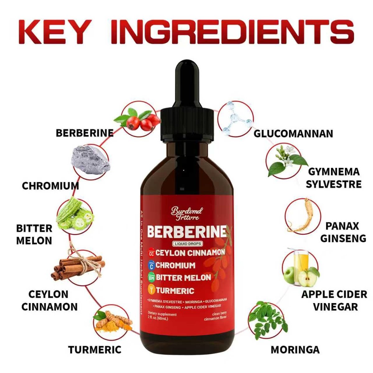 Berberin-Tropfen mit Ceylon-Zimt, Berberin HCL, Chrom, Bittermelone & Kurkuma – flüssige Nahrungsergänzung für Immunsystem & Stoffwechsel, schnelle Aufnahme – 118 ml