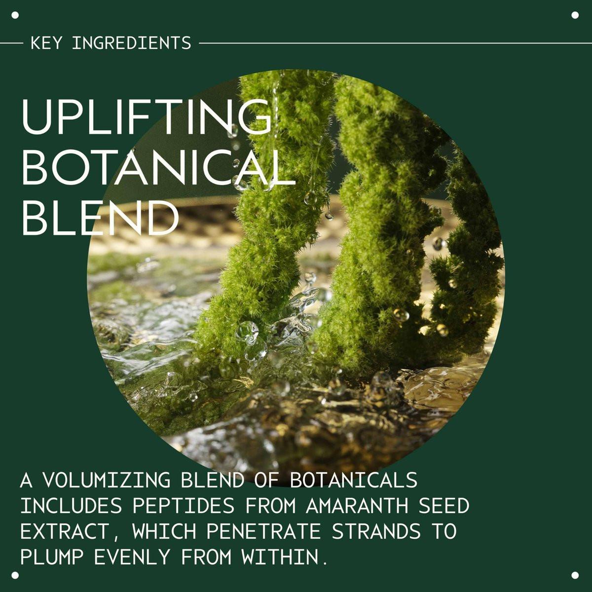 Aveda Pure Abundance Volumizing Conditioning Rinse | Leichter Volumen-Conditioner für feines Haar | Reduziert Haarbruch | Mit Jasmin, Pfefferminze, Palmarosa und Ylang Ylang | 150 ml