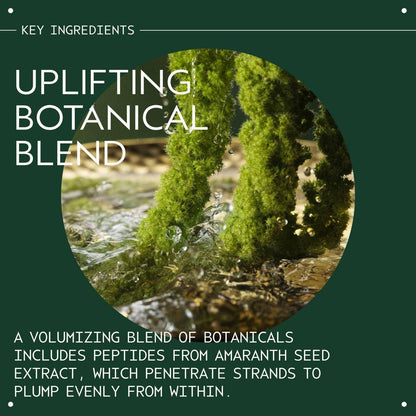 Aveda Pure Abundance Volumizing Conditioning Rinse | Leichter Volumen-Conditioner für feines Haar | Reduziert Haarbruch | Mit Jasmin, Pfefferminze, Palmarosa und Ylang Ylang | 150 ml