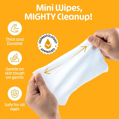 Fomin Mini Hand Sanitizer Tücher 8er Pack (8 Stück) - Vielfaltspack Mini Feuchttücher - pH-ausgeglichen, biologisch abbaubar, antibakteriell für unterwegs - hypoallergen, insgesamt 64 Tücher
