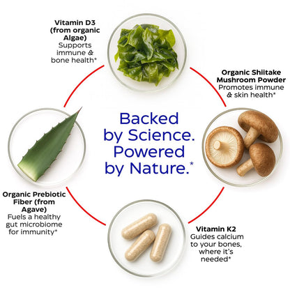 Enzymedica Vitamin D3 + K2 Kapseln – 5000 IE D3 & 90 mcg K2 MK-7 für Immunsystem & Knochengesundheit – mit Shiitake-Pilzen & Präbiotika – Vegan – 30 Kapseln