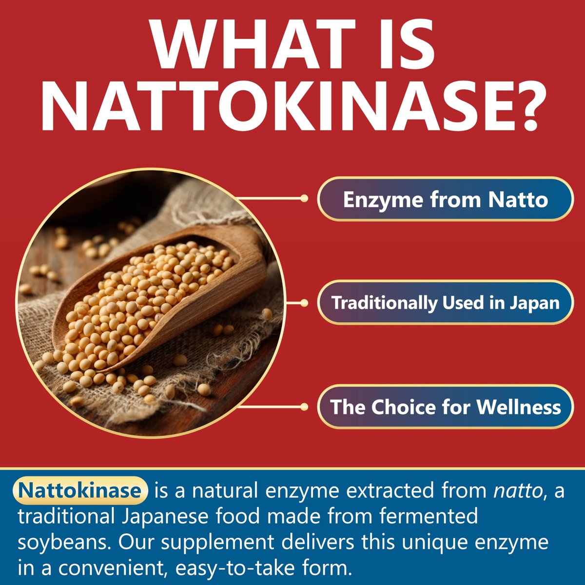 Kwala Nutrition Nattokinase Kapseln – 4.000 FU pro Portion – Vegan, Nicht-GVO, Glutenfrei – 60 Kapseln (30-Tage-Vorrat)