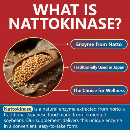 Kwala Nutrition Nattokinase Kapseln – 4.000 FU pro Portion – Vegan, Nicht-GVO, Glutenfrei – 60 Kapseln (30-Tage-Vorrat)