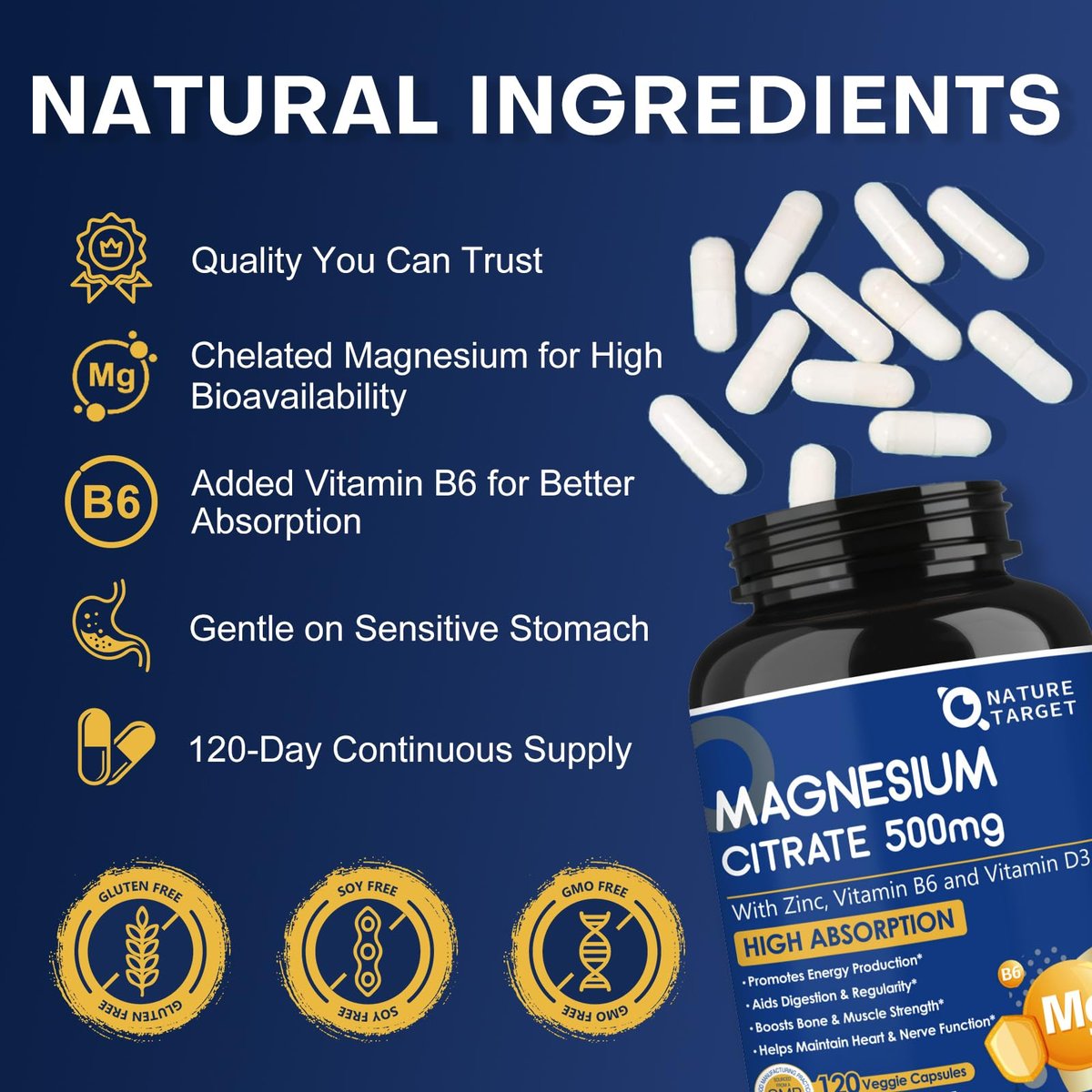NATURE TARGET Magnesium Citrat 500 mg mit Zink & Vitamin D für Muskel-, Nerven-, Knochen- und Herzgesundheit, hochabsorbierendes Magnesiumpräparat, leicht zu schluckende Magnesiumkapseln für Frauen & Männer, 120 VegKaps