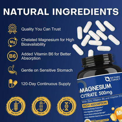 NATURE TARGET Magnesium Citrat 500 mg mit Zink & Vitamin D für Muskel-, Nerven-, Knochen- und Herzgesundheit, hochabsorbierendes Magnesiumpräparat, leicht zu schluckende Magnesiumkapseln für Frauen & Männer, 120 VegKaps