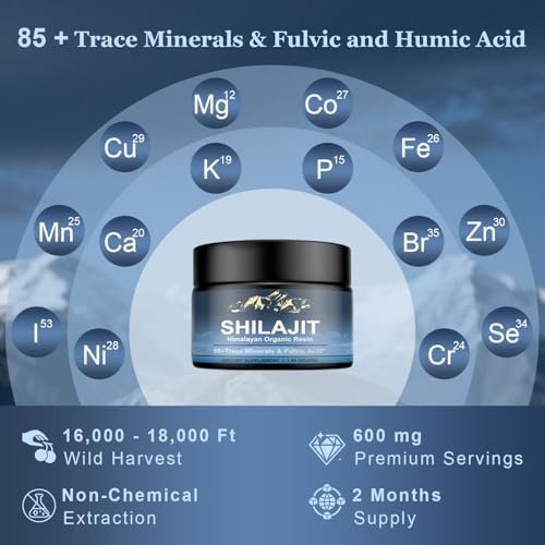 Himalayan Shilajit Bio-Resin – 600 mg reines Naturharz mit 85+ Spurenelementen & Fulvinsäure, Energie & Immunsystem, 30 g